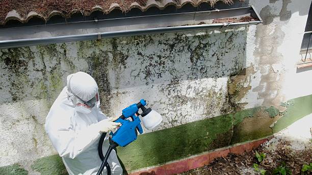 Top rated local Mold Remediation specialists in Camden, TN